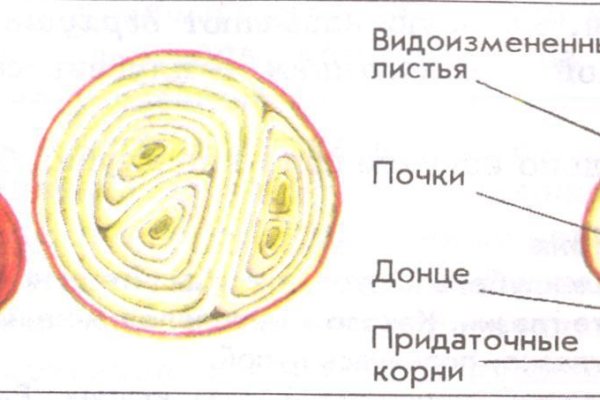 Не могу зайти в аккаунт кракен